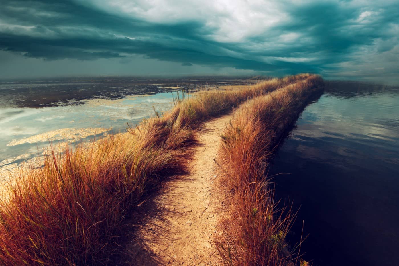 On Chronic Ambivalence and the Torments of Uncertainty On Chronic Ambivalence and the Torments of Uncertainty
