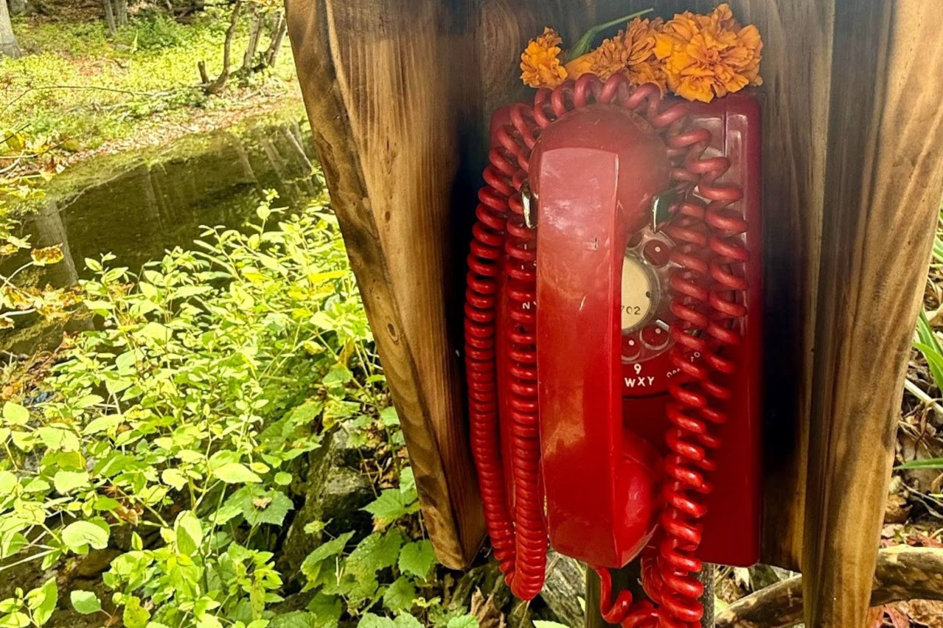 Love Is Harrowing. AI Suggests a Bypass—But at What Cost?